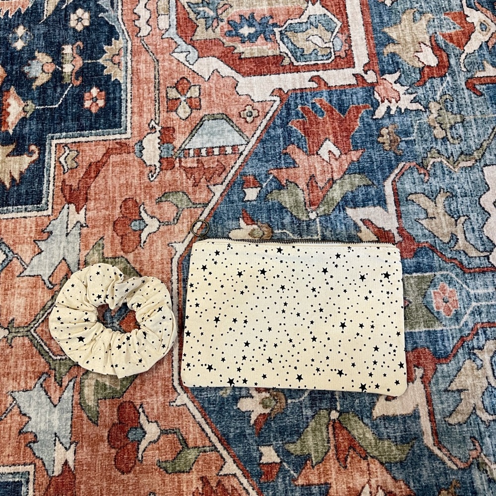 Madewell Pouch and Scrunchy